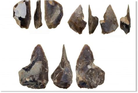 It's the Flintstones! Archaeologists find 60,000-year-old Neanderthal ...