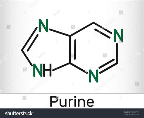 Purine Nucleotide Structure