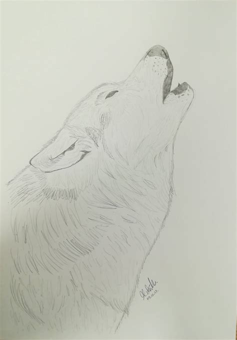 Simple Howling Wolf Drawing