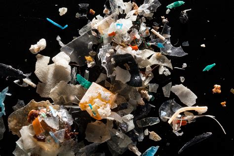 The effects of microplastics on organisms in coastal areas – SciGlow ...