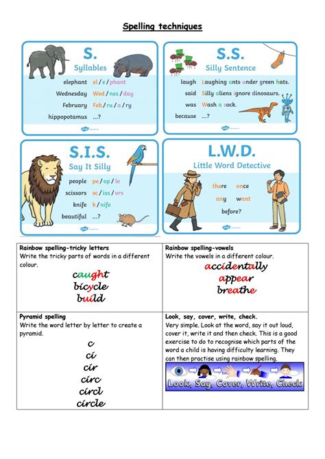 Owls Spelling by Schudio - Issuu