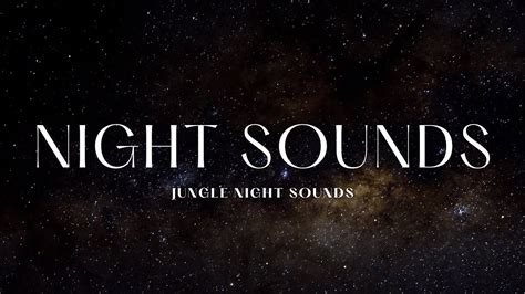 Sleeping Jungle Night Sounds For Stress Relief & Meditation & Healing ...