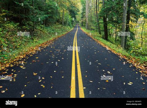 Red River Gorge Scenic Byway, Red River Gorge Geological Area, Daniel ...