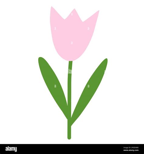 Simple tulip flower, spring design element, doodle style vector illustration Stock Vector Image ...