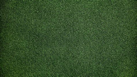 Dark Green Grass Texture, Dark Green Textured, HD wallpaper | Peakpx