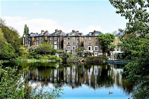 Can Dogs Swim In Hampstead Ponds