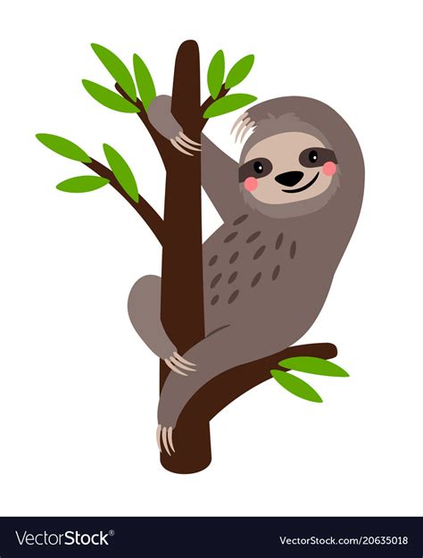 Sloth cute bear animal character Royalty Free Vector Image