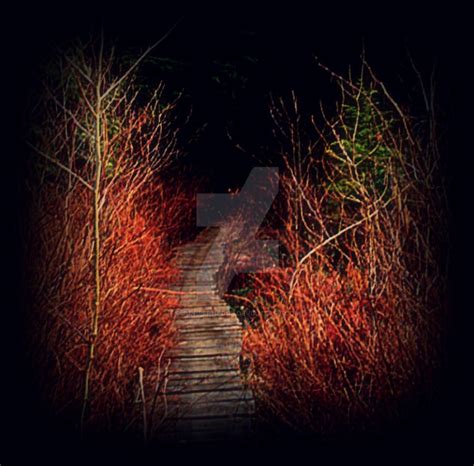 Dark Path by JuniperHedge on DeviantArt