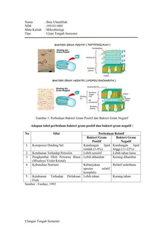 Bakteri Gram Positif dan Negatif - Ibnu Ubaidillah.pdf