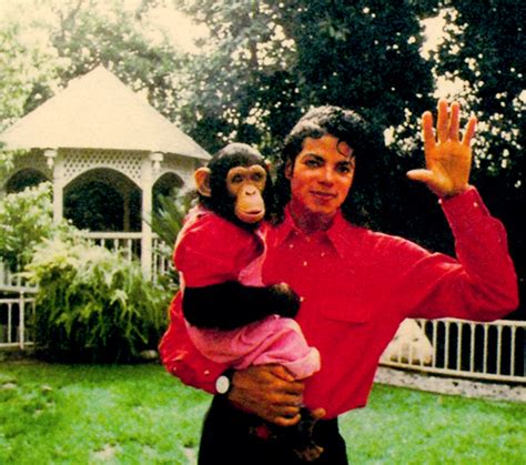 Bubbles and Michael Jackson - Bubbles the Chimp Photo (29675253) - Fanpop