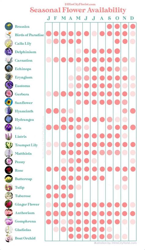 seasonal-flowers-chart-B - 24HRS CITY FLORIST