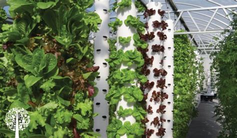 Tower Farming Technology Doing A World of Good | Garden Culture Magazine