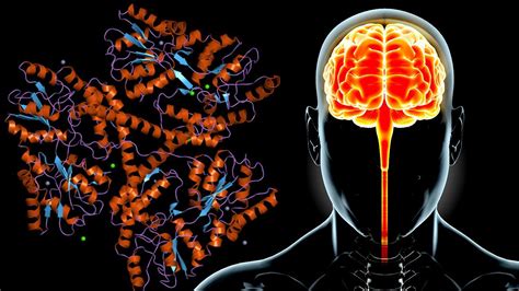 Cracking the code of Huntington's disease - EPFL