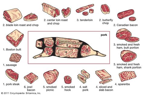 Diagram Of Cuts Of Pork Photo Courtesy Of Beechtreefarm Org Uk | My XXX Hot Girl