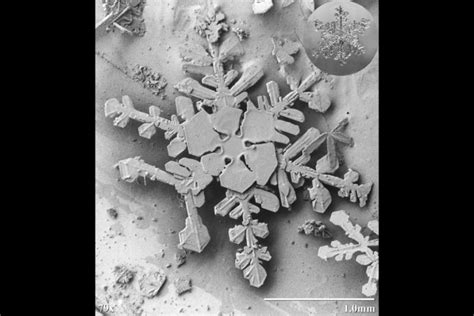 Snowflakes Like You've Never Seen Them Before | Discover Magazine