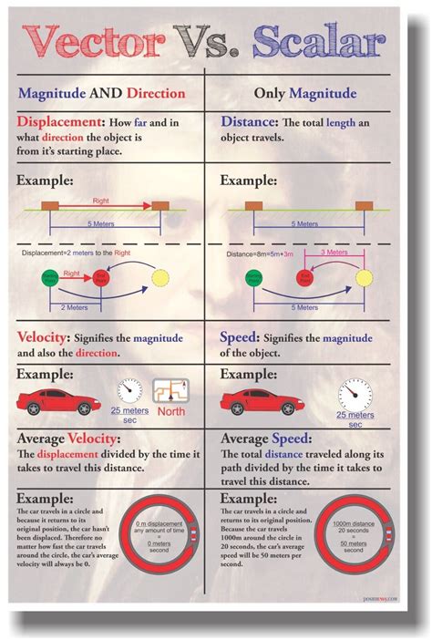 Scalar And Vector Worksheet