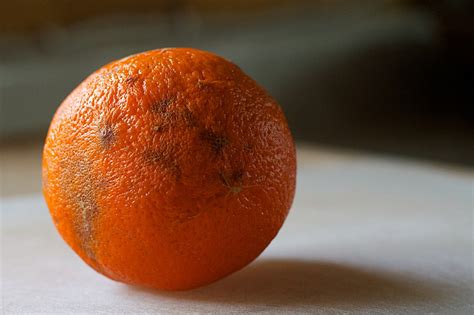 Free Images : plant, fruit, food, produce, close up, tangerine ...