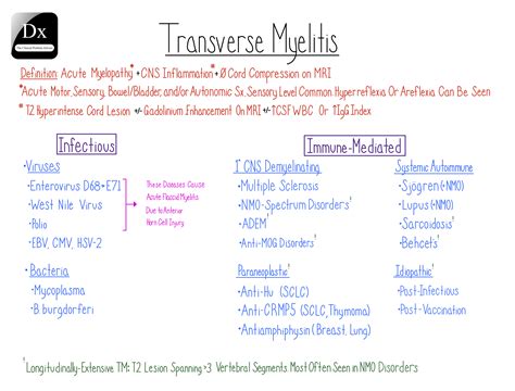 Transverse Myelitis – The Clinical Problem Solvers