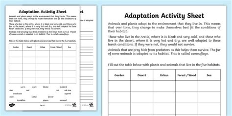 Adaptation Worksheet Research Activity (teacher made)