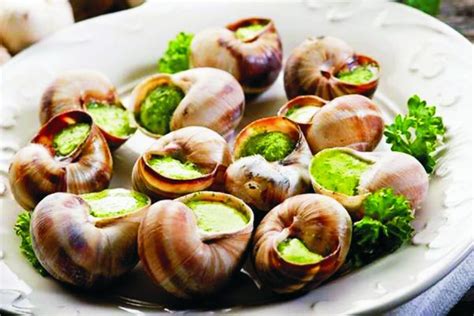 Edible Snails: Where to Buy, How to Grow and Cook These Dishes