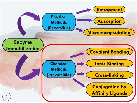 Chemical Methods Of Enzyme Immobilization | PPTC 6460309 - Pharmaceutical Biotechnology - AIMST ...