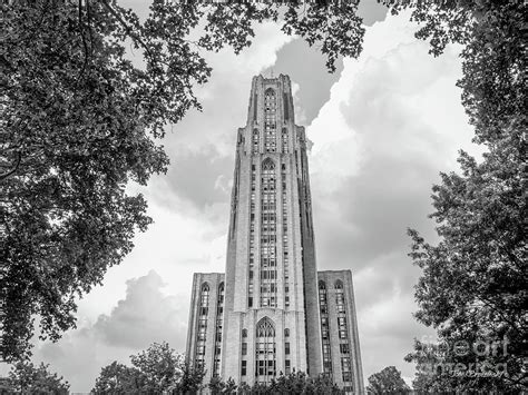 University of Pittsburgh Cathedral of Learning Front Photograph by ...