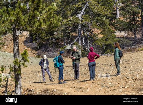 Hiking in the Troodos Mountains, Cyprus. Hiking guide Franz Bauernhofer explains to his hiking ...