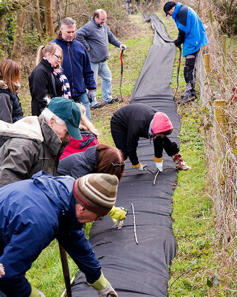 Support the Orchard – Northaw Community Orchard