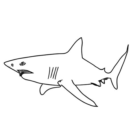 Great White Shark Silhouette Coloring Page · Creative Fabrica
