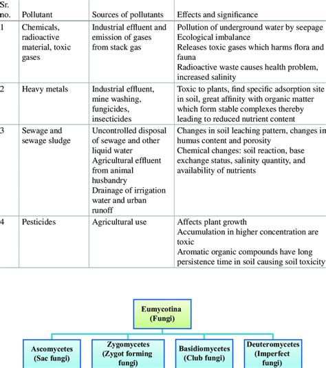 3 Types of soil pollutants, their sources, and effects (According to ...