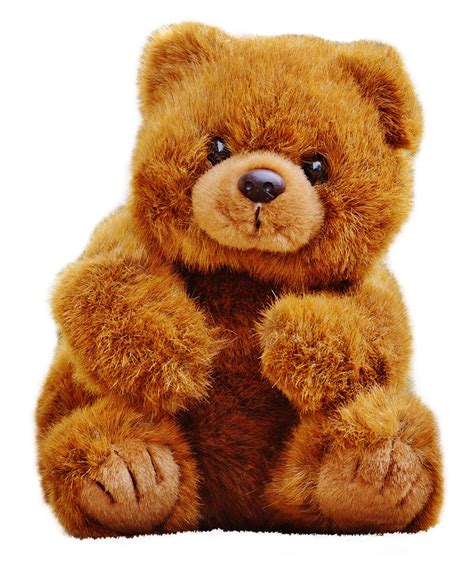 Teddy bear PNG