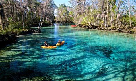 Homosassa, FL 2023: Best Places to Visit - Tripadvisor