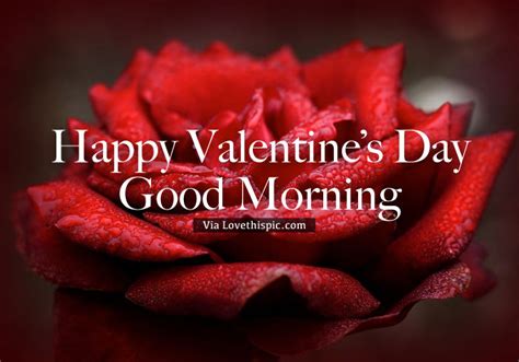 Happy Valentine's Day, Good Morning Pictures, Photos, and Images for ...