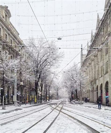 Photos of Zurich in The January Snow - NewinZurich - Your Guide To Living in Zurich