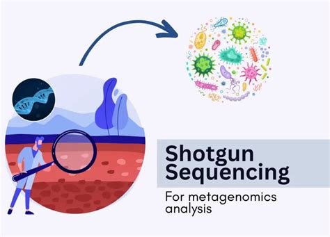 A Guide To Next-Generation Shotgun Sequencing In Metagenomics: Technique, Advantages and ...