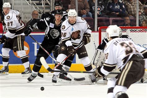 01.05.14 - Hershey Bears player, Brandon Segal. Photo courtesy of ...