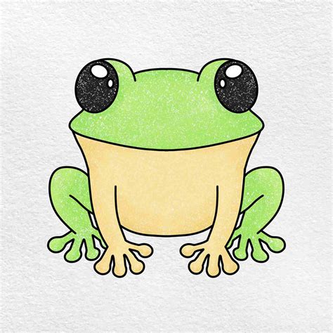 Frog Drawing For Kids