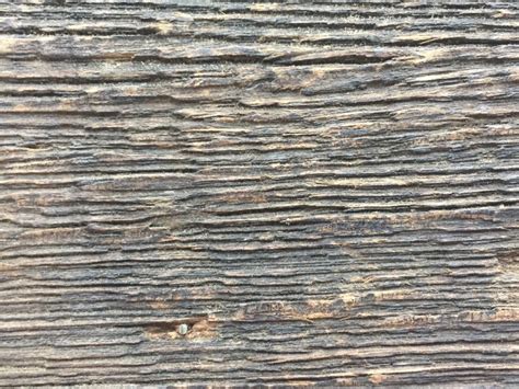 Stained wood with horizontal lines and bumps | Free Textures