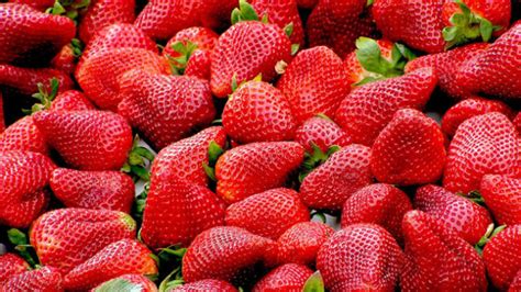 It's Strawberry Season! - | The St. Louis Family Attractions Card