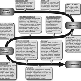 Issues, strategies and biases in viral metagenomics. The biology of... | Download Scientific Diagram