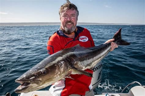 Scott's Species - cobia, an enigmatic and powerful sportfish - Recfishwest