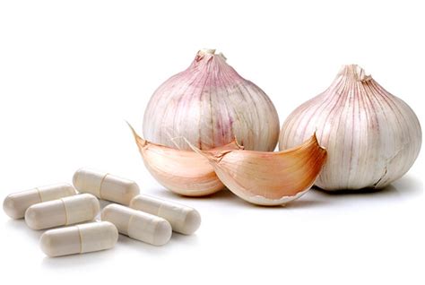 To Garlic or Not to Garlic: The Great Canine Debate