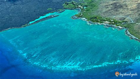 Kiholo Bay | Big Island Guide