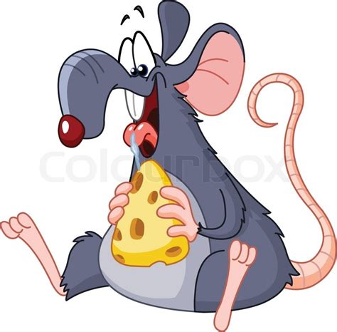 Rat eating cheese | Stock vector | Colourbox