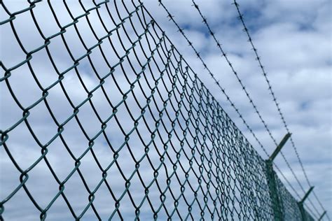 10 Creative Welded Wire Fencing Ideas to Secure Your Property! - Cungcaphangchinhhang.com