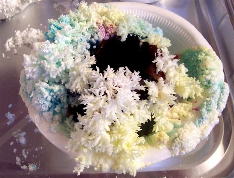 Home Chemistry: Salt Crystal Trees