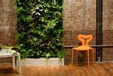 Photo 3 of 10 in Living Green Walls 101: Their Benefits and How They’re Made from Modern ...