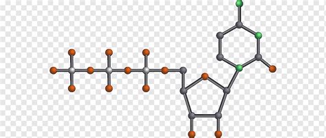 DNA dan RNA struktur asam nukleat, Pengujian Genetik, sudut, asam, dna png | PNGWing