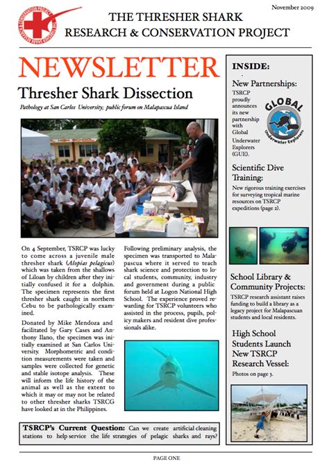 Shark Diver : Shark Diving : Swimming With Sharks: Thresher shark research & conservation project