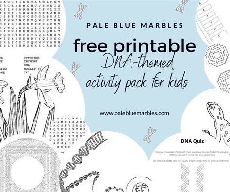 Build a DNA model with pipe cleaners - Pale Blue Marbles